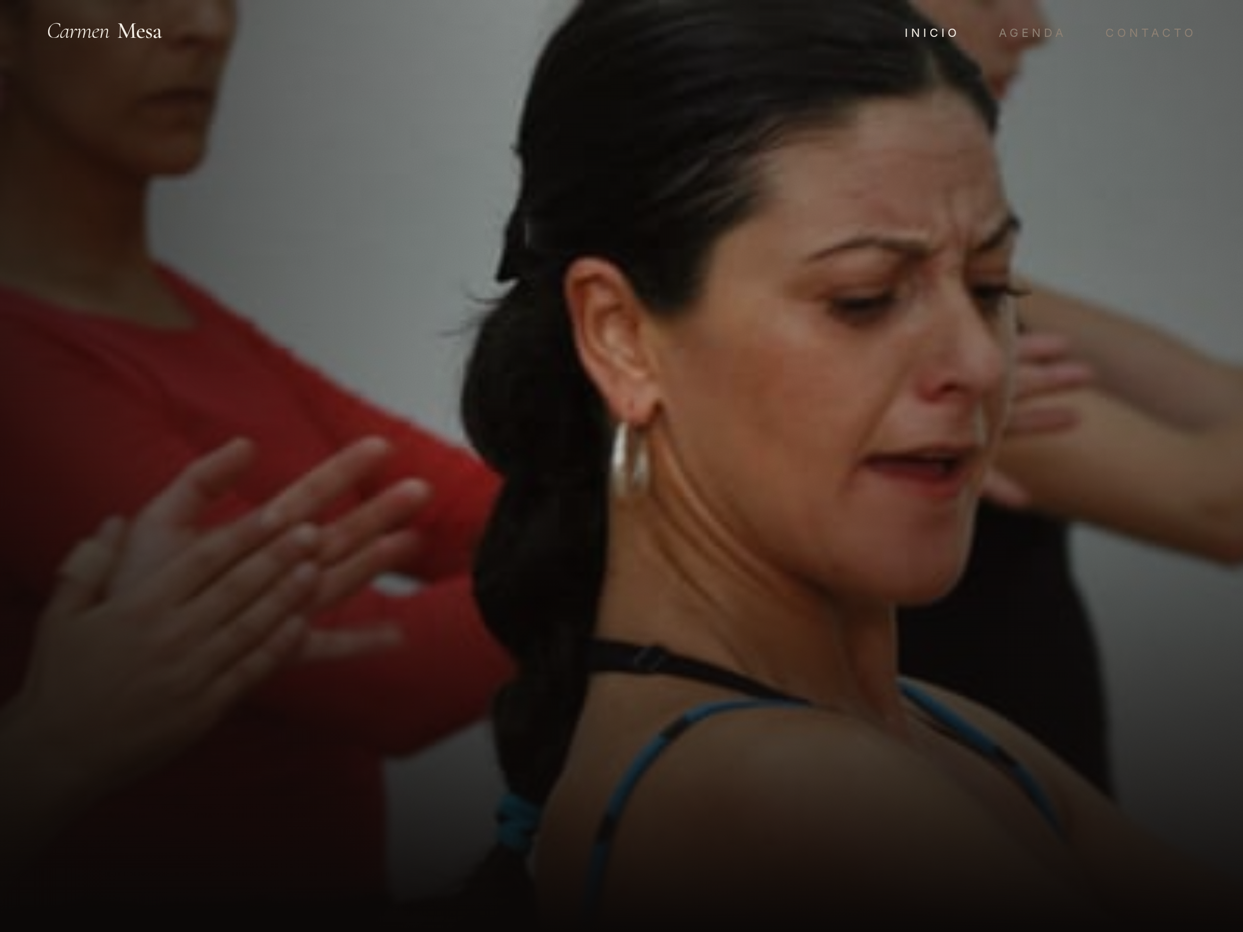 Captura do site de Carmen Mesa