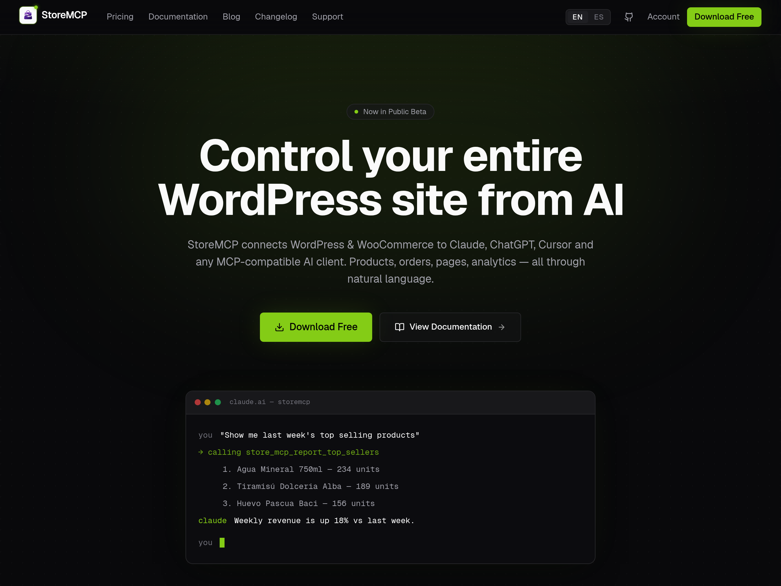 Captura do site de StoreMCP